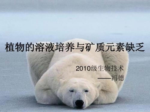 植物的溶液培养与矿质元素缺乏
