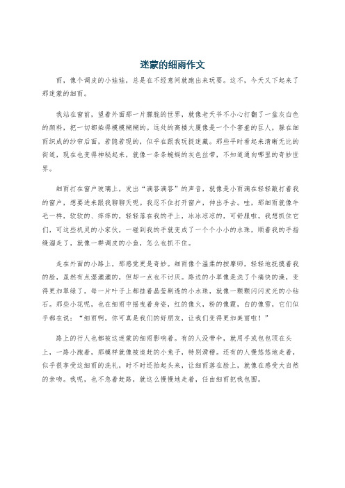 迷蒙的细雨作文
