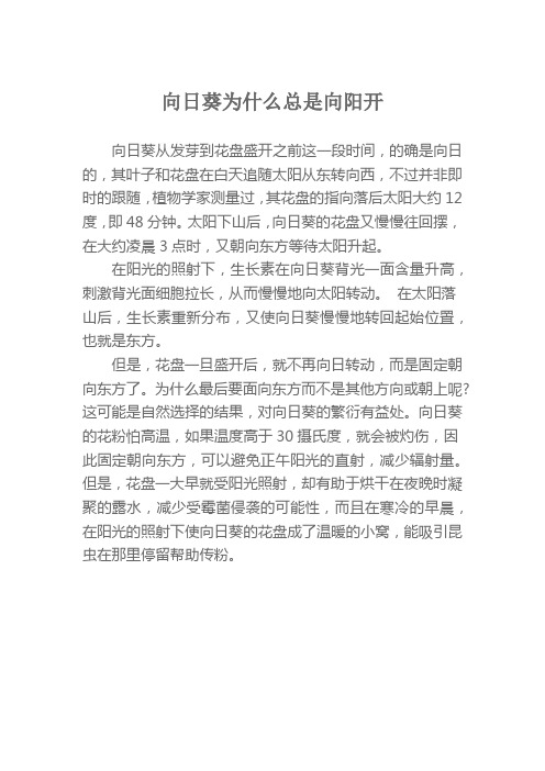 向日葵为什么总是向阳开