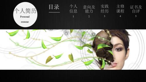 农行孙晶个人简历PPT