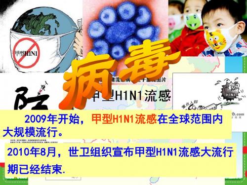 【初中生物】病毒PPT课件17