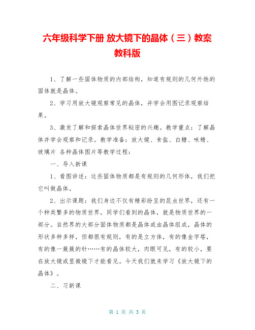 六年级科学下册 放大镜下的晶体(三)教案 教科版
