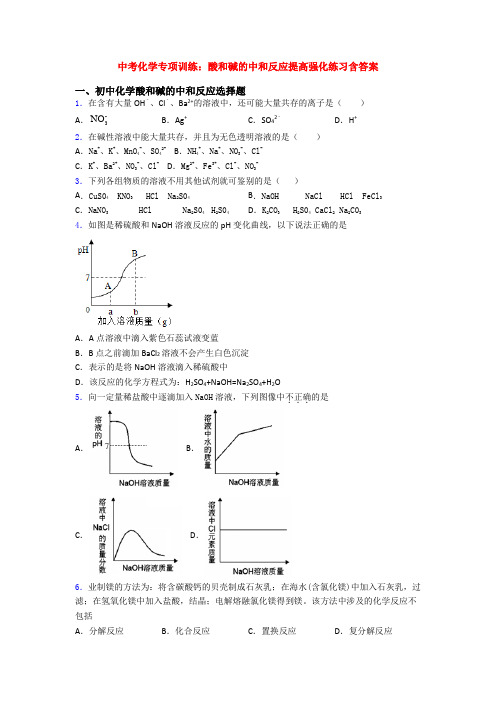 中考化学专项训练：酸和碱的中和反应提高强化练习含答案