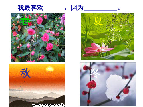 沪教版一年级上册课件  四季歌-ppt