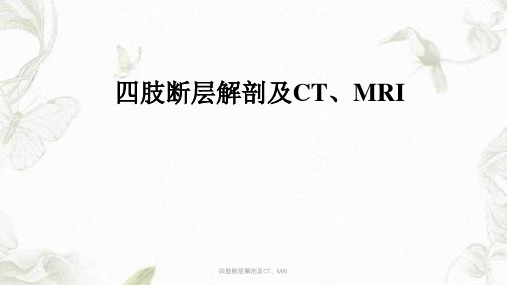 四肢断层解剖及CT、MRIppt课件