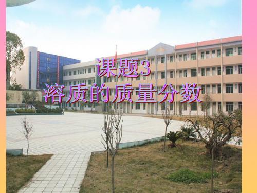 第九单元课题3、《溶质的质量分数》