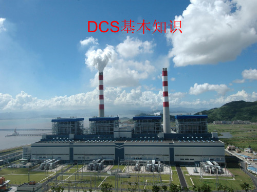 DCS基本知识讲座解读