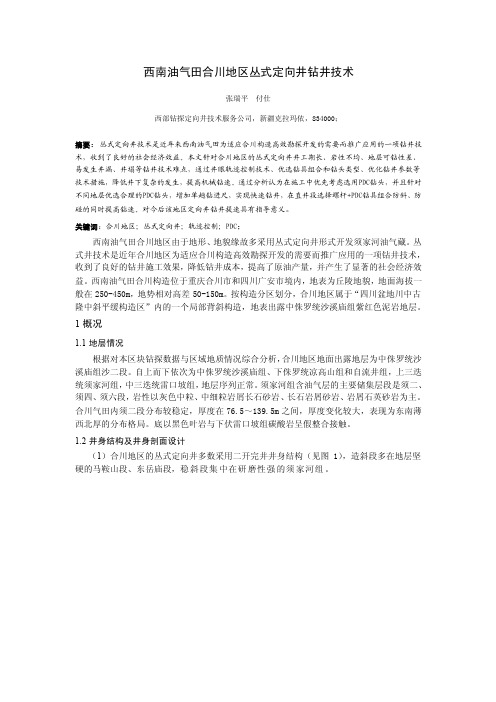 [能源化工]西南油气田合川地区丛式定向井钻井技术