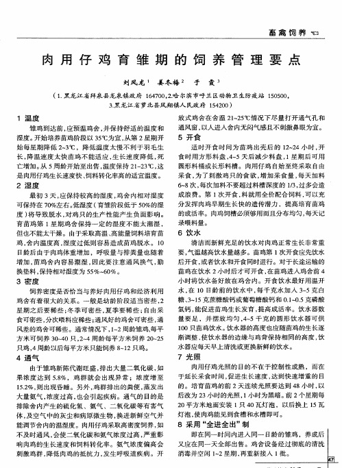 肉用仔鸡育雏期的饲养管理要点
