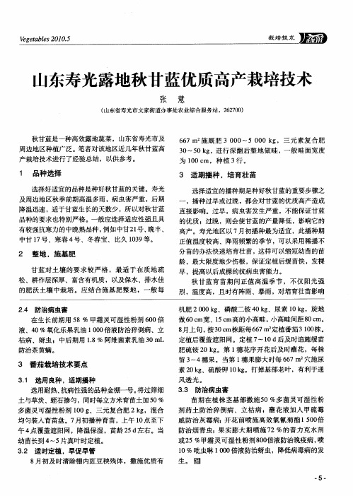 山东寿光露地秋甘蓝优质高产栽培技术