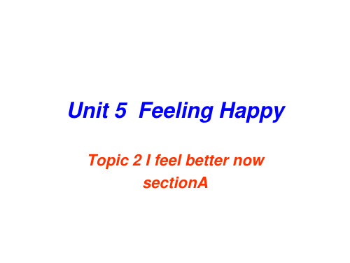 Unit 5  Feeling Happy.课件