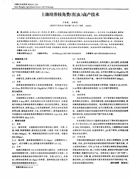 土池培养枝角类(红虫)高产技术