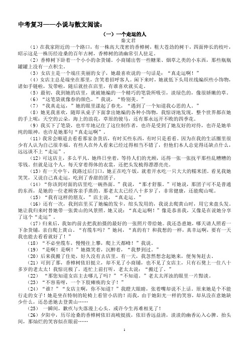 中考复习_小说与散文阅读