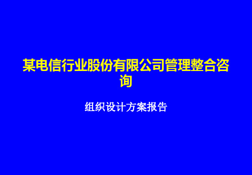 某电信行业股份管理整合咨询——组织设计方案.ppt