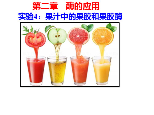 实验4-果汁中的果胶和果胶酶