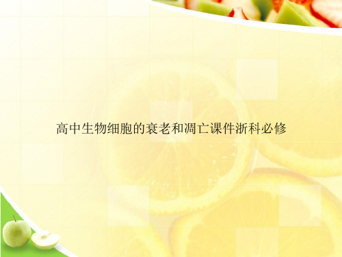 高中生物细胞的衰老和凋亡课件浙科必修ppt文档