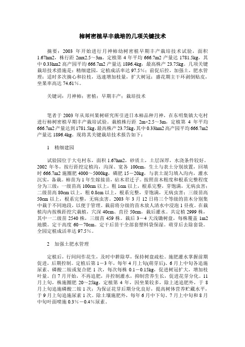 柿树密植早丰栽培的几项关键技术