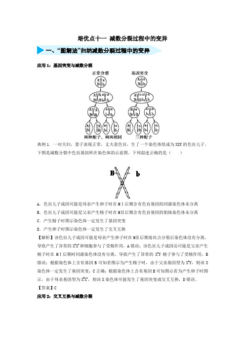 2019届高考生物专题十一减数分裂过程中的变异精准培优专练