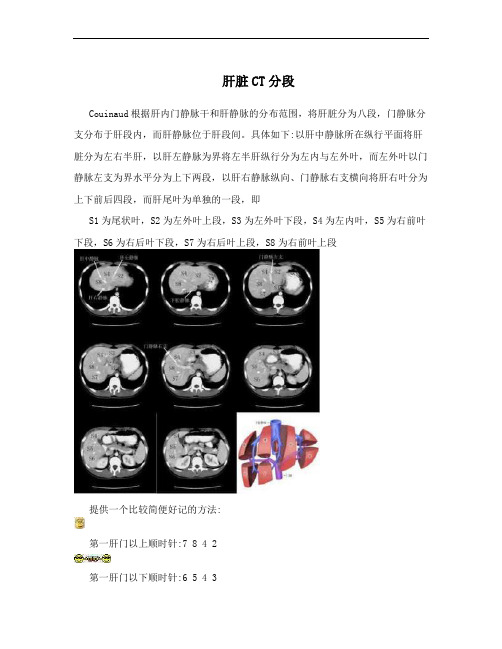 肝脏CT分段