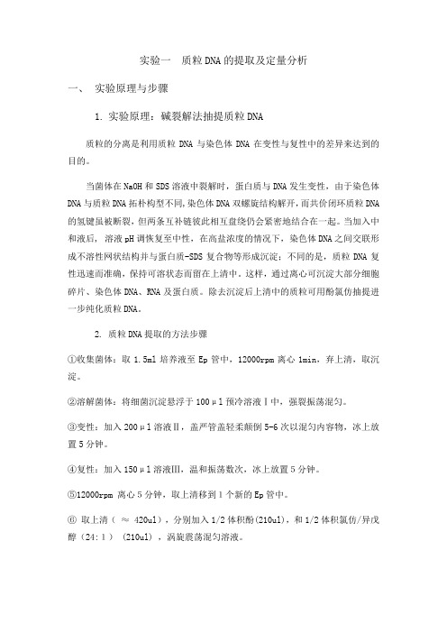 实验一  质粒DNA的提取及定量分析