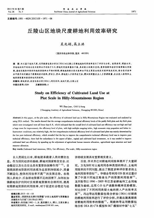 丘陵山区地块尺度耕地利用效率研究