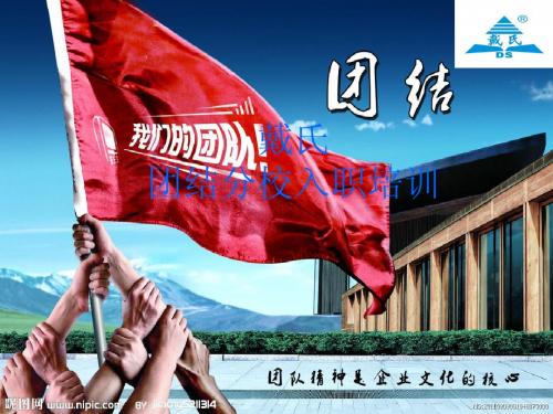 团结戴氏