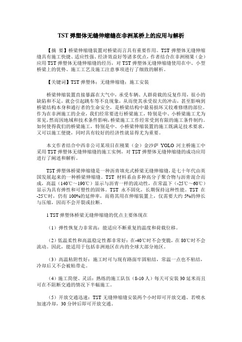 TST弹塑体无缝伸缩缝在非洲某桥上的应用与解析