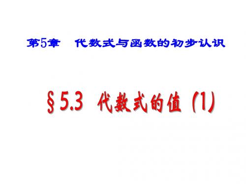 5.3 代数式的值  青岛版