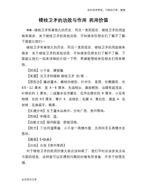 棱枝卫矛的功效与作用 药用价值