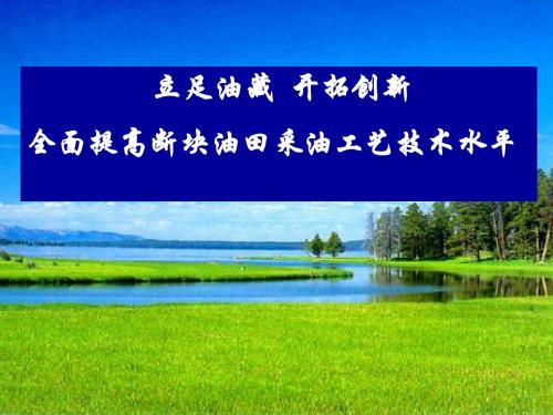 断块工艺全面提高断块油田采油工艺技术水平