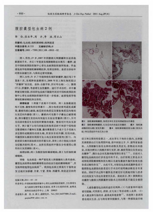 腹腔囊型包虫病2例