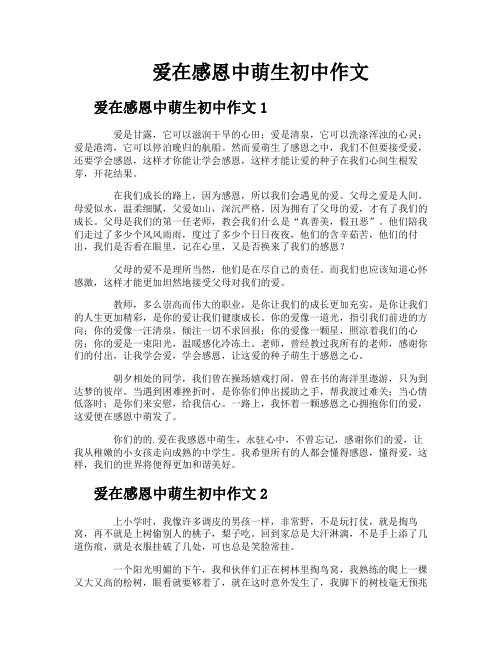 爱在感恩中萌生初中作文