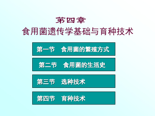 第四章  食用菌遗传学基础与育种技术