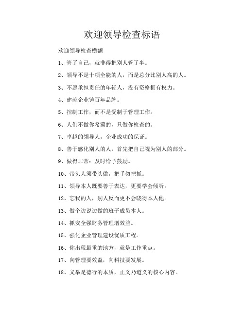 欢迎领导检查标语