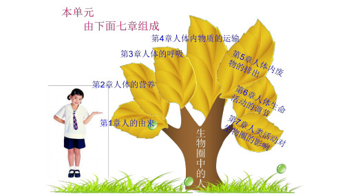 七年级生物下册第4章复习ppt课件
