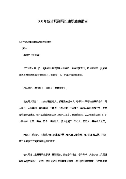 XX年统计局副局长述职述廉报告