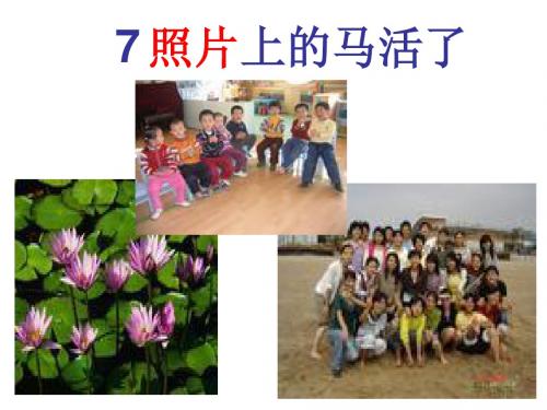 7照片上的马活了