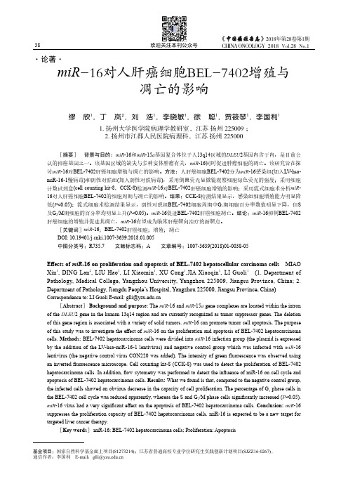 miR -16对人肝癌细胞BEL-7402增殖与凋亡的影响