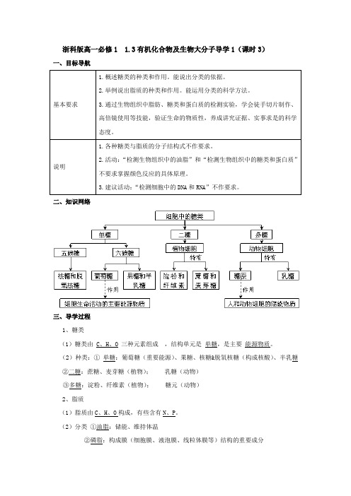 浙科版高一必修1 1.3有机化合物及生物大分子导学案1(课时3)