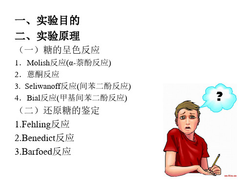 实验1糖的呈色实验