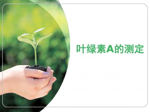 叶绿素A的测定