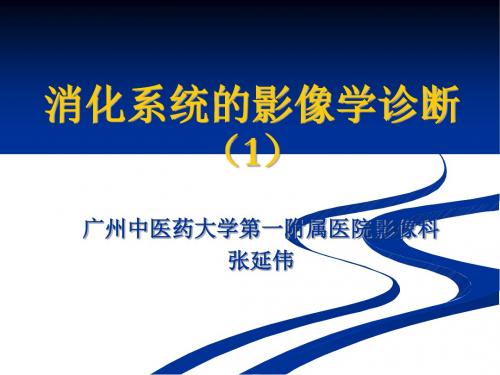 消化系统影像学诊断共55页PPT资料