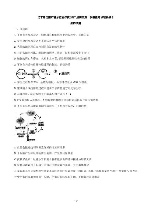 2017届辽宁省沈阳市省示范协作校高三第一次模拟考试理科综合试题