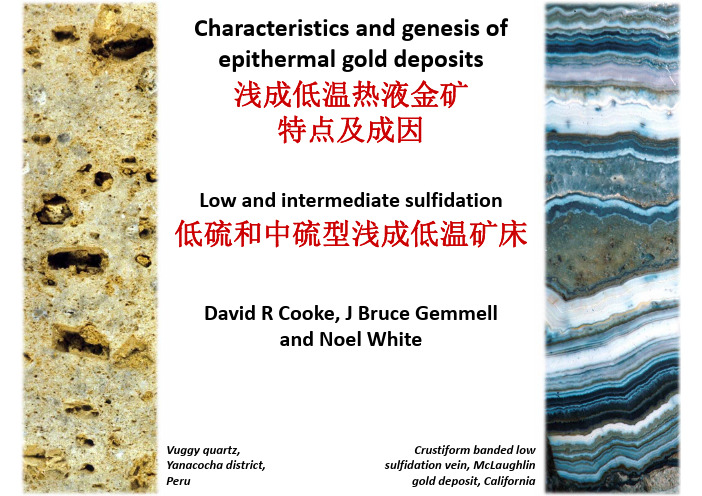 David Cooke_浅成低温热液矿床-2：中硫、低硫型