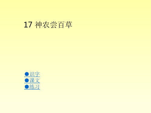017第十七课 神农尝百草