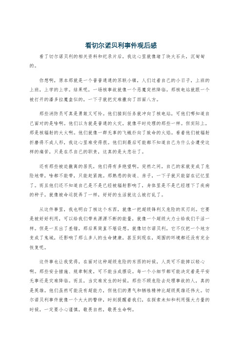 看切尔诺贝利事件观后感