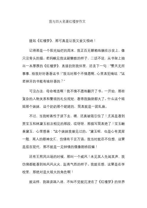 我与四大名著红楼梦作文