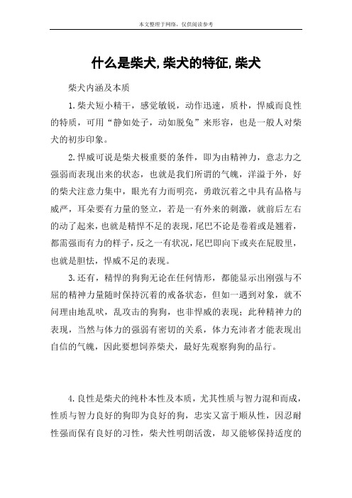 什么是柴犬,柴犬的特征,柴犬