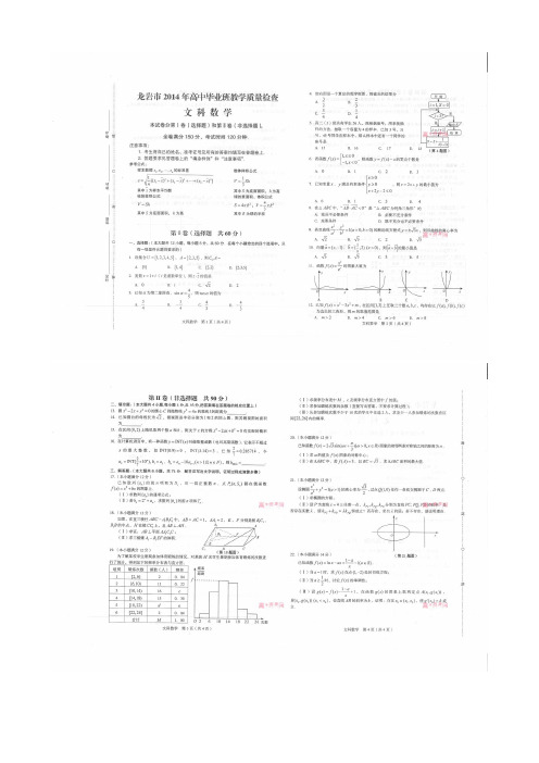 福建省龙岩市2014届高三毕业班教学质量检查数学(文)试题