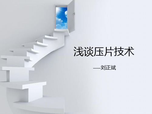浅谈压片技术-PPT